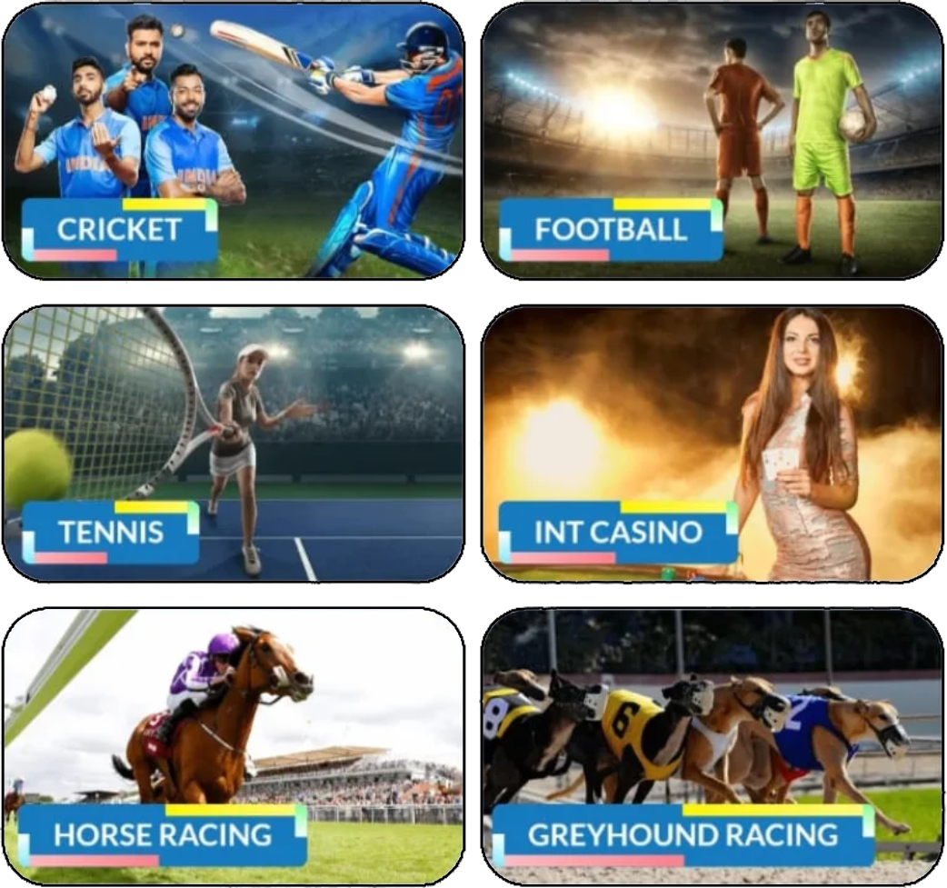 11xplay Account Dashboard